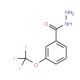 3-(Trifluoromethoxy)benzhydrazide (CAS 321195-88-4) - chemical structure image