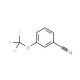 3-(Trifluoromethoxy)benzonitrile (CAS 52771-22-9) - chemical structure image