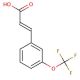 3-(Trifluoromethoxy)cinnamic acid (CAS 168833-80-5) - chemical structure image