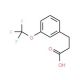 3-(Trifluoromethoxy)hydrocinnamic acid 的分子结构, CAS编号: 168833-77-0 3-(Trifluoromethoxy)hydrocinnamic acid (CAS 168833-77-0) - chemical structure image
