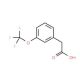 3-(Trifluoromethoxy)phenylacetic acid (CAS 203302-97-0) - chemical structure image