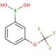 3-(Trifluoromethoxy)phenylboronic acid (CAS 179113-90-7) - chemical structure image