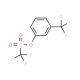 3-(Trifluoromethyl)phenyl trifluoromethanesulphonate (CAS 199188-30-2) - chemical structure image
