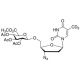3′-Azido-3′-deoxythymidine-methyl-d3-2,3,4-Tri-O-acetyl-β-D-glucuronide Methyl Ester - chemical structure image