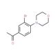 3′-Bromo-4′-(morpholin-4-yl)acetophenone (CAS 957066-05-6) - chemical structure image