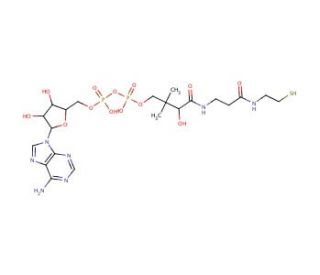 3′-Dephosphocoenzyme A (CAS 3633-59-8) - chemical structure image