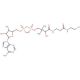 3'-Dephosphocoenzyme A 的分子结构, CAS编号: 3633-59-8 3′-Dephosphocoenzyme A (CAS 3633-59-8) - chemical structure image
