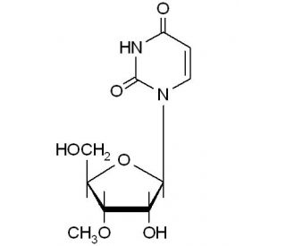 3&prime;-O-Methyluridine (CAS 6038-59-1) - chemical structure image