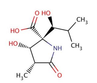 (3R,4S,5R)-4-Hydroxy-5-[(1S)-1-hydroxy-2-methylpropyl]-3-methyl-2-pyrrolidinone-5-carboxylic Acid - chemical structure image