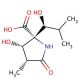 (3R,4S,5R)-4-Hydroxy-5-[(1S)-1-hydroxy-2-methylpropyl]-3-methyl-2-pyrrolidinone-5-carboxylic Acid - chemical structure image