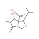 (3R,4S,5S,6S)-1-Aza-5-carboxyl-4-hydroxy-6-isopropyl-3-methyl-7-oxabicyclo[3.3.0]octan-2-one (CAS 145451-96-3) - chemical str