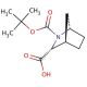(3R)-N-Boc-2-azabicyclo[2.2.1]heptane-3-carboxylic acid (CAS 291775-53-6) - chemical structure image