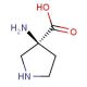(3S)-3-aminopyrrolidine-3-carboxylic acid (CAS 113473-30-6) - chemical structure image