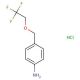4-[(2,2,2-trifluoroethoxy)methyl]aniline hydrochloride - chemical structure image