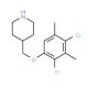 4-[(2,4-Dichloro-3,5-dimethylphenoxy)methyl]-piperidine - chemical structure image
