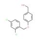 {4-[(2,4-Dichlorobenzyl)oxy]phenyl}methanol (CAS 400825-70-9) - chemical structure image