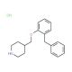 4-[(2-Benzylphenoxy)methyl]piperidinehydrochloride - chemical structure image