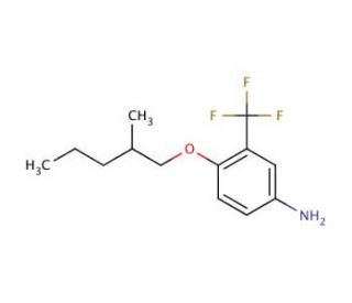 4-[(2-Methylpentyl)oxy]-3-(trifluoromethyl)aniline - chemical structure image