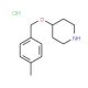 4-[(4-Methylbenzyl)oxy]piperidine hydrochloride - chemical structure image