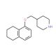 4-[(5,6,7,8-Tetrahydro-1-naphthalenyloxy)methyl]-piperidine - chemical structure image