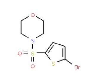 4-[(5-bromothien-2-yl)sulfonyl]morpholine - chemical structure image