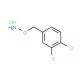 4-[(Aminooxy)methyl]-1,2-dichlorobenzenehydrochloride (CAS 15256-10-7) - chemical structure image