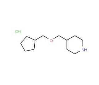 4-[(Cyclopentylmethoxy)methyl]piperidine hydrochloride - chemical structure image