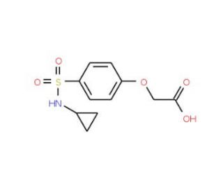 {4-[(cyclopropylamino)sulfonyl]phenoxy}acetic acid - chemical structure image
