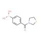 4-(1,3-Thiazolidin-3-ylcarbonyl)benzeneboronic acid (CAS 850589-33-2) - chemical structure image