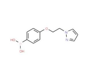 4-(2-(1H-Pyrazol-1-yl)ethoxy)phenylboronic acid (CAS 957061-18-6) - chemical structure image