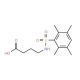 4-(2,3,5,6-Tetramethyl-benzenesulfonylamino)-butyric acid - chemical structure image