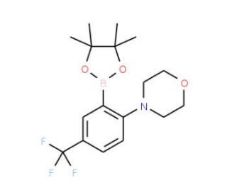 4-[2-(4,4,5,5-Tetramethyl-1,3,2-dioxaborolan-2-yl)-4-(trifluoromethyl)phenyl]morpholine (CAS 906352-77-0) - chemical structur