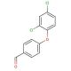 4-(2,4-Dichlorophenoxy)benzaldehyde (CAS 78725-51-6) - chemical structure image