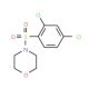 4-(2,4-Dichlorophenylsulfonyl)morpholine (CAS 74832-72-7) - chemical structure image
