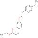 4-[2-(5-Ethyl-2-pyridinyl)ethoxy]benzenepropanoic Acid Ethyl Ester(Pioglitazone Impurity) (CAS 868754-42-1) - chemical struct