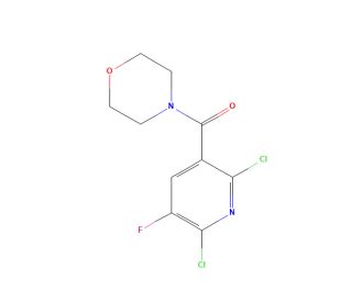 4-[(2,6-Dichloro-5-fluoropyridin-3-yl)carbonyl]morpholine (CAS 680217-88-3) - chemical structure image