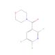 4-[(2,6-Dichloro-5-fluoropyridin-3-yl)carbonyl]morpholine (CAS 680217-88-3) - chemical structure image