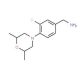 [4-(2,6-dimethylmorpholin-4-yl)-3-fluorophenyl]methanamine - chemical structure image
