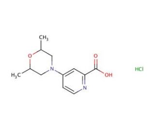 4-(2,6-dimethylmorpholin-4-yl)pyridine-2-carboxylic acid hydrochloride - chemical structure image