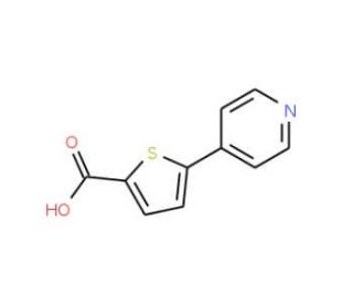 4-(2-Carboxythien-5-yl)pyridine (CAS 216867-32-2) - chemical structure image