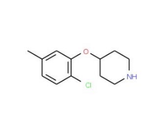 4-(2-Chloro-5-methylphenoxy)piperidine (CAS 254883-43-7) - chemical structure image