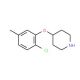 4-(2-Chloro-5-methylphenoxy)piperidine (CAS 254883-43-7) - chemical structure image