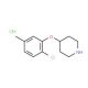4-(2-Chloro-5-methylphenoxy)piperidine hydrochloride - chemical structure image