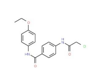 4-(2-Chloro-acetylamino)-N-(4-ethoxy-phenyl)-benzamide - chemical structure image