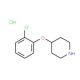 4-(2-Chlorophenoxy)piperidine hydrochloride (CAS 849107-20-6) - chemical structure image