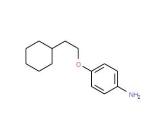 4-(2-Cyclohexylethoxy)aniline (CAS 76253-34-4) - chemical structure image