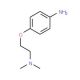 4-(2-Dimethylamino-ethoxy)-phenylamine (CAS 62345-76-0) - chemical structure image