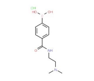 4-(2-(Dimethylamino)ethylcarbamoyl)phenylboronic acid, HCl (CAS 850568-22-8) - chemical structure image