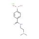 4-(2-(Dimethylamino)ethylcarbamoyl)phenylboronic acid, HCl (CAS 850568-22-8) - chemical structure image