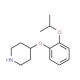 4-(2-Isopropoxyphenoxy)piperidine - chemical structure image